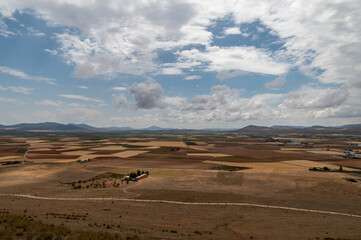 Panoramic view of large extensions of vineyards, cereals, olive trees, fruit trees, in Toledo...