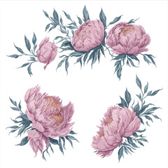 Peonies Pink watercolor flower arrangement collection