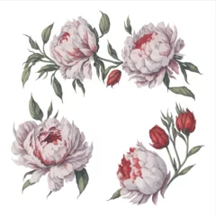 Schilderijen op glas Peonies White Red Watercolor Flower Arrangement Collection. © ArtAmr