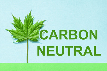 Carbon Neutral. Leaf maple on blue background. Eco Sustainability. Green energy, clean natural energy. Sustainable concept.
