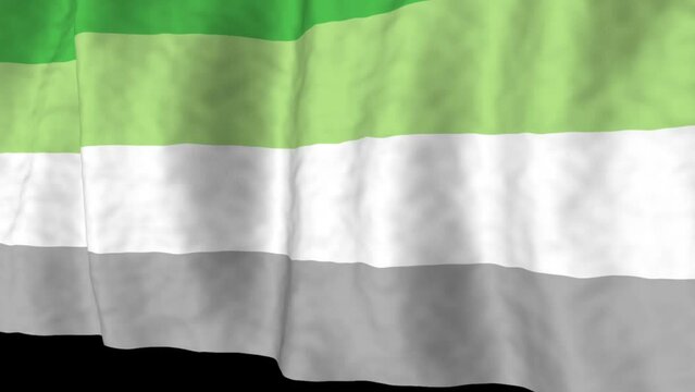 Aromantic pride flag at an angle