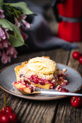 Tart with sour cherry creme, creme patisserie and crumbs, served with vanilla ice cream. Rustic and moody atmosphere and decoration. 