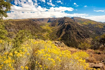 Foto op Canvas Big Indian gorge in the steens mountains in south cenbtral Oregon., near Frenchglen © Bob