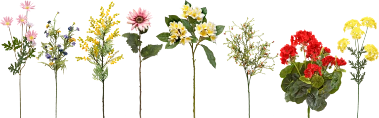 Gordijnen set of flowers on transparent background © Anthony