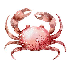 Watercolor illustrations of underwater marine animals octopus, seahorse, crab, starfish, jellyfish. Marine inhabitants of the underwater world. illustration, education, postcard, sticker, sublimation.