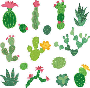 Decorative cactus collection. Cacti flowers symbols, mexico desert plants icons. Mexican or arizona cartoon elements, nowaday vector clipart