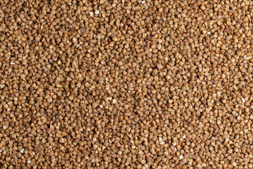 A large amount of harvested buckwheat