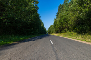 Paved road through the forest