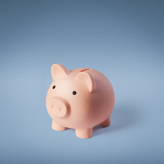 Piggy bank: investments and savings