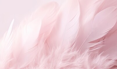  a close up of a pink background with white feathers on the bottom of the image and the bottom of the image of a pink background.  generative ai