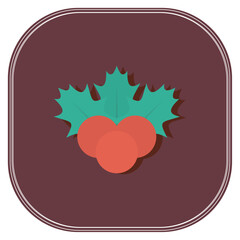 christmas fruit vector icon with coffee background