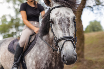 Pretty girl, a horseback rider riding beautiful gray horse, walking along a path on a sunny summer...