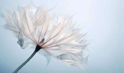  a close up of a white flower on a blue background with a blurry image of the petals and leaves of the flower in the foreground.  generative ai