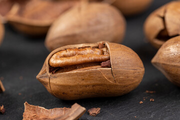 fresh crop of pecans on the surface