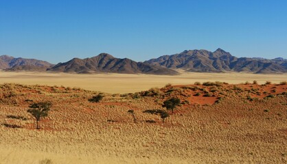 Fototapeta na wymiar Desert landscape, Namibia 