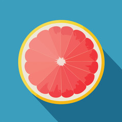Vector illustrationf of resh and juicy orange or grapefruit