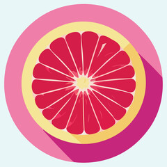 Vector illustrationf of resh and juicy orange or grapefruit