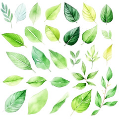 green leaves seamless pattern watercolor