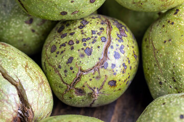 Ripe walnuts with green shells