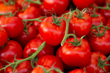 Vine ripe tomatoes at a local farmer's market