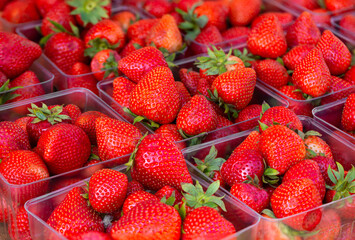 Close-up of fresh picked strawberries at a local outdoor market