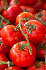 Close-up of vine ripe tomatoes at a local farmer's market