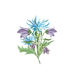 Watercolor painting of cornflowers and bluebells. Can be used on postcards, advertising, flower arrangements.