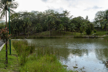 Fototapeta na wymiar City park in Kuching, Malaysia, tropical garden with large trees and lawns, path, lake.