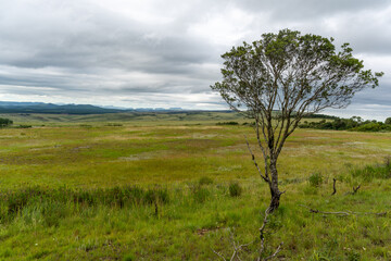 Fototapeta na wymiar View of Drakensbergen in South Africa near Wonder View, Graskop.