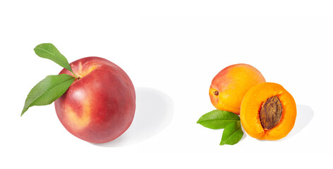 Nectarine an apricot on white background