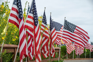 Field of Honor Flag Display in Newport Beach CA