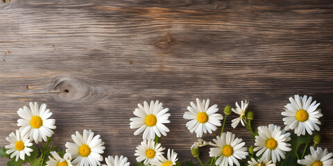 Daisy flowers on wooden background, summer chamomile flat lay banner. Valentine's, womens, mothers day, birthday or wedding concept. Top view. Copy space. Generated AI.