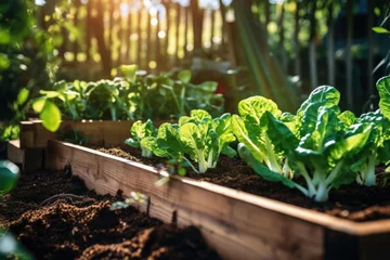 Deurstickers Donkerbruin Raised bed gardens for growing vegetables or composting. Generative AI