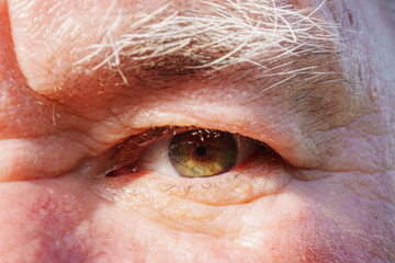 close-up. The eye of a old man man with shaggy gray eyebrows. macro photography