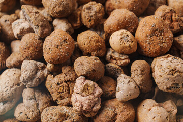 Expanded clay. small lumps of clay used in construction and for growing plants.