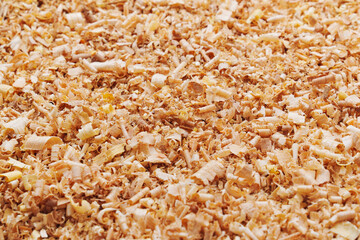 sawdust and shavings. material for agriculture. mulch 