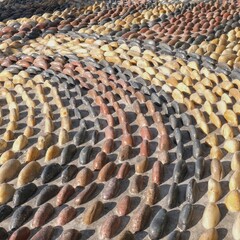 Fragment of reflexology cobblestones pathway for foot massage . Mosaic pattern from convex rounded pebble stones. Textured surface from boulders as background