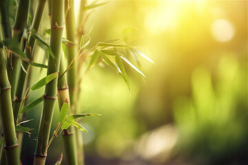 Fresh Bamboo Trees In Forest With Blurred nature Background. AI generated content