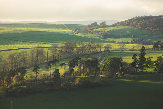 Scenic landscape view of rolling hills and pastoral countryside farmland in Moonzie near Cupar in Fife, Scotland, UK.