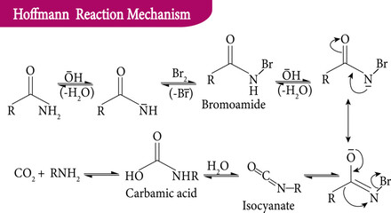 Hoffmann Bromamide Reaction Mechanism , vector illustration