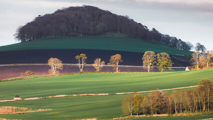 Scenic landscape view of pastoral countryside farmland in Moonzie near Cupar in Fife, Scotland, UK.