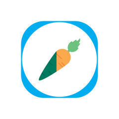 vector image of a carrot with blue border