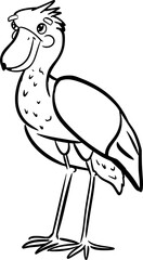 Vector drawing of cute, silly shoebill bird. Animal, wild, nature, exotic, tall. Black and white, sketch, hand drawn, contour, silhouette, cartoon style, doodle, flat. Big, wings, beak, legs, feather.