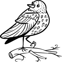 Vector drawing of cute starling. Hand drawn, black and white, sketch, contour, silhouette,cartoon style, flat, doodle. Cute, silly, beautiful, bird, animal, nature, wild, forest, pattern, feathers.