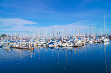 boats in marina