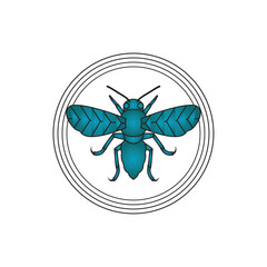 vector image of blue insect with white background and black lines