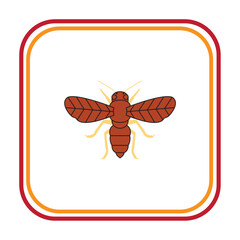 vector image of brown insect with white background and red and yellow lines