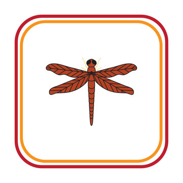 vector image of brown insect with white background and red and yellow lines