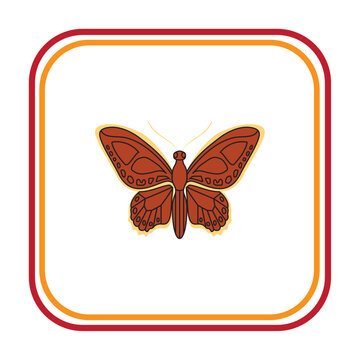 vector image of brown insect with white background and red and yellow lines