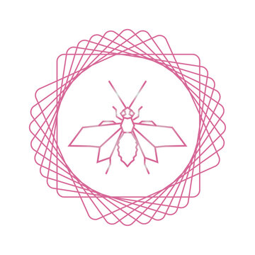 vector image of wasp in pink lines with white background
